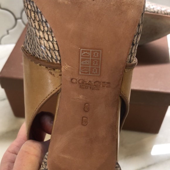 COACH Snake print leather pumps!!! - Picture 4 of 7